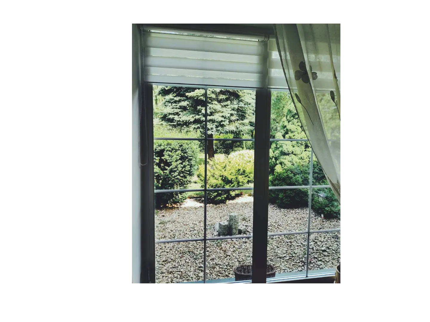 Mentoring - sesje mentoringowe