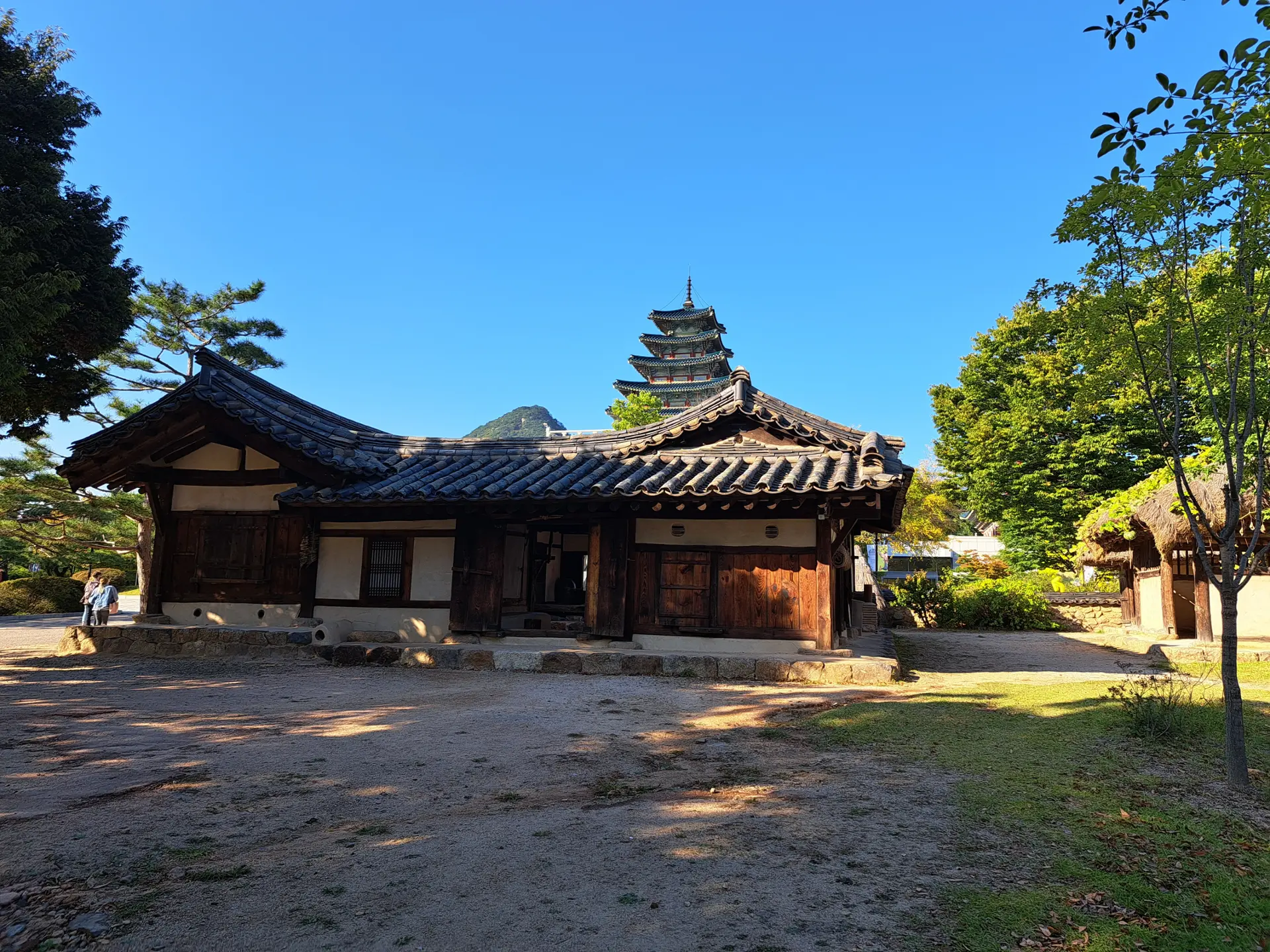 Zajęcia indywidualne z języka koreańskiego