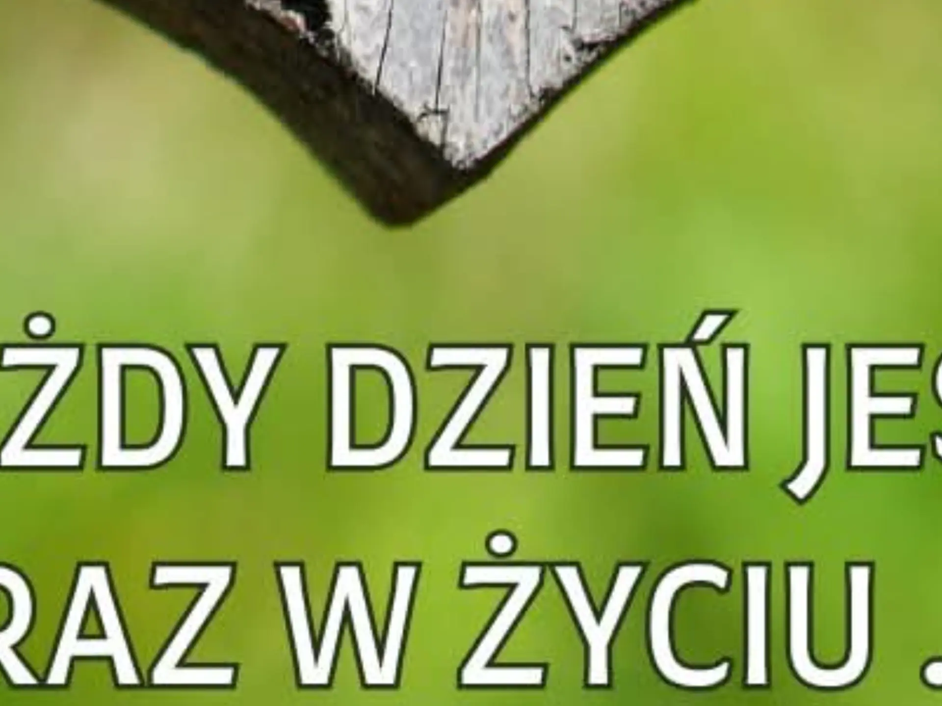 Twoje kolory