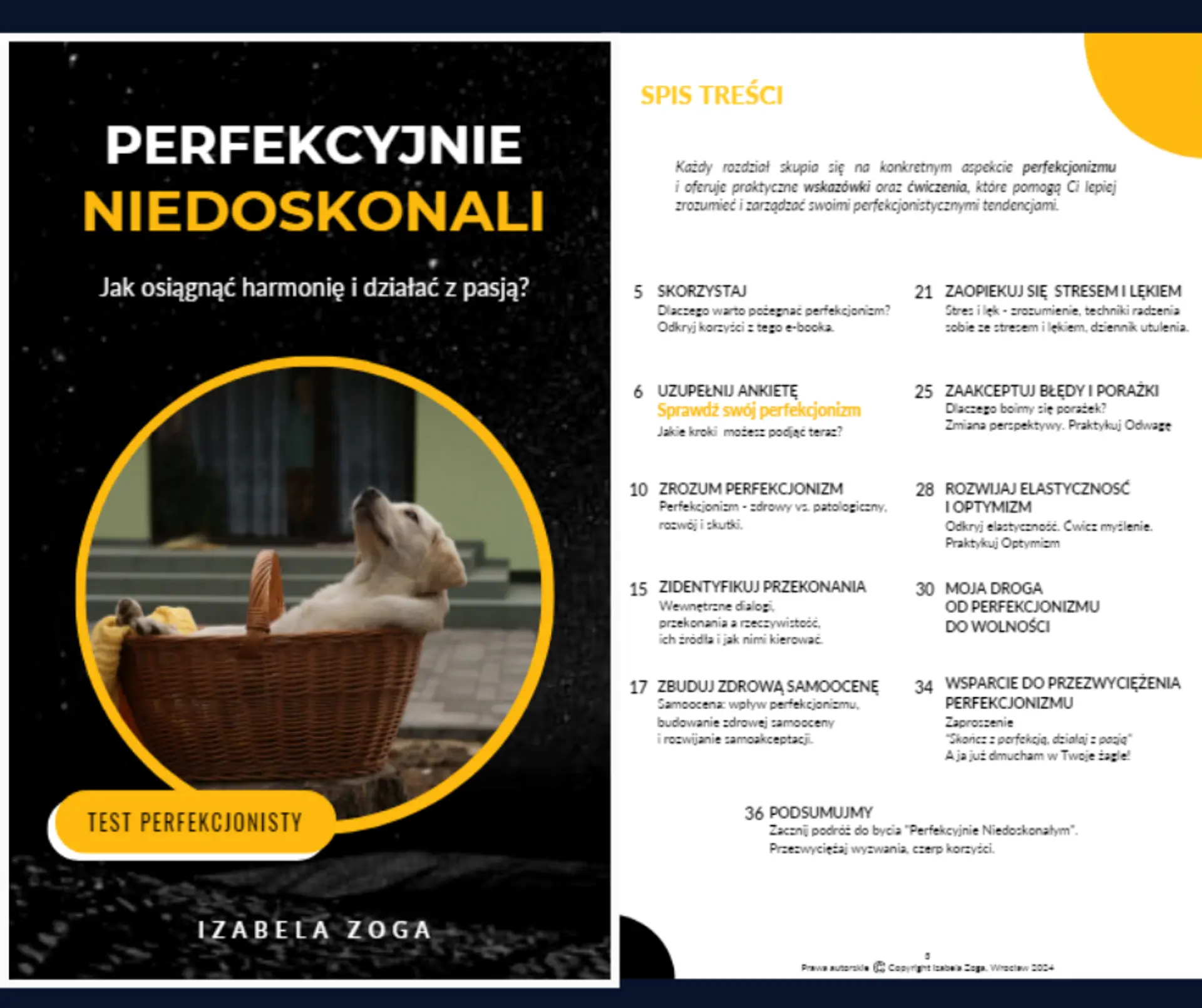 E-book: "Perfekcyjnie Niedoskonali - Jak osiągnąć harmonię i działać z pasją"