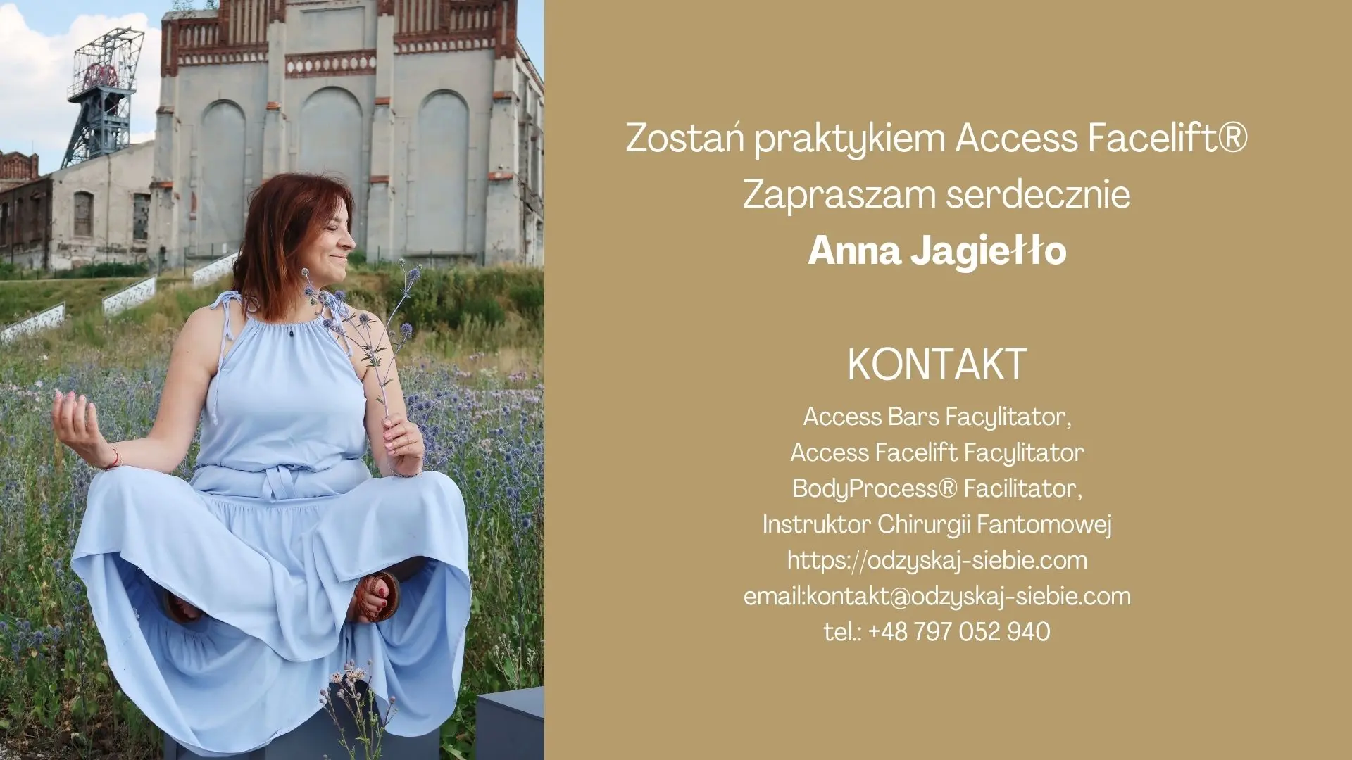 Kurs Access Energetyczny Facelift