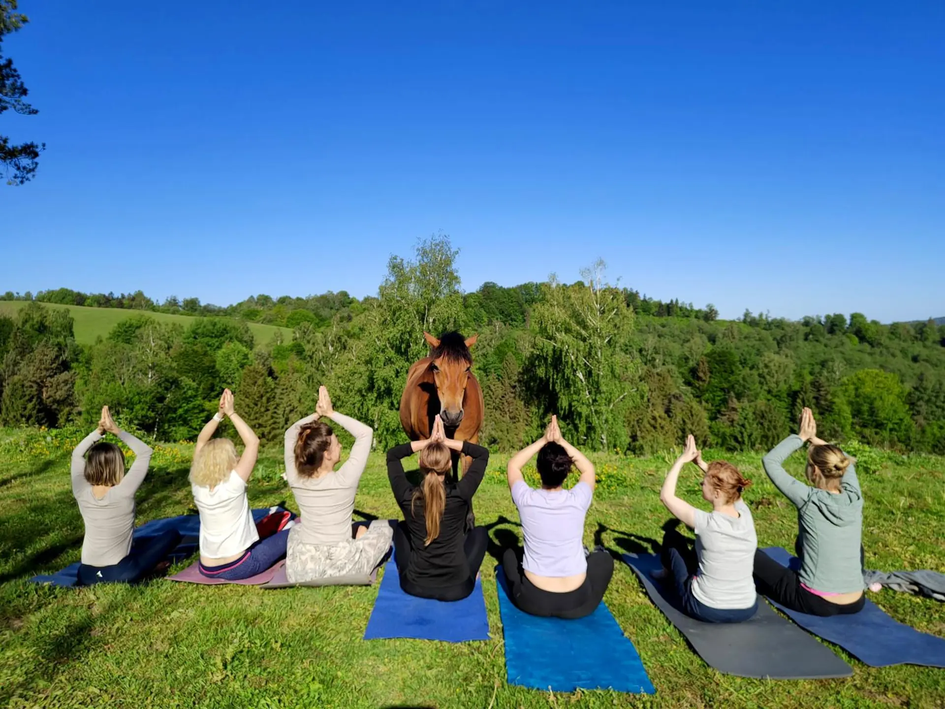 Wewnętrzna siła – Warsztaty z końmi, ciałem i mindfulness