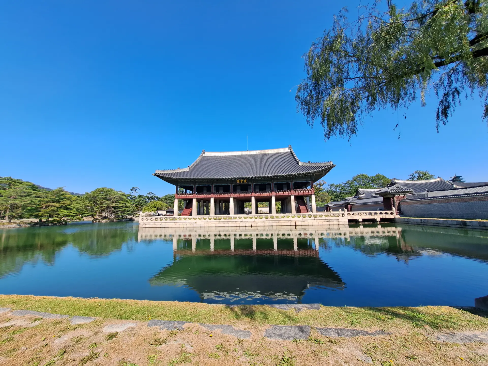 Zajęcia indywidualne z języka koreańskiego