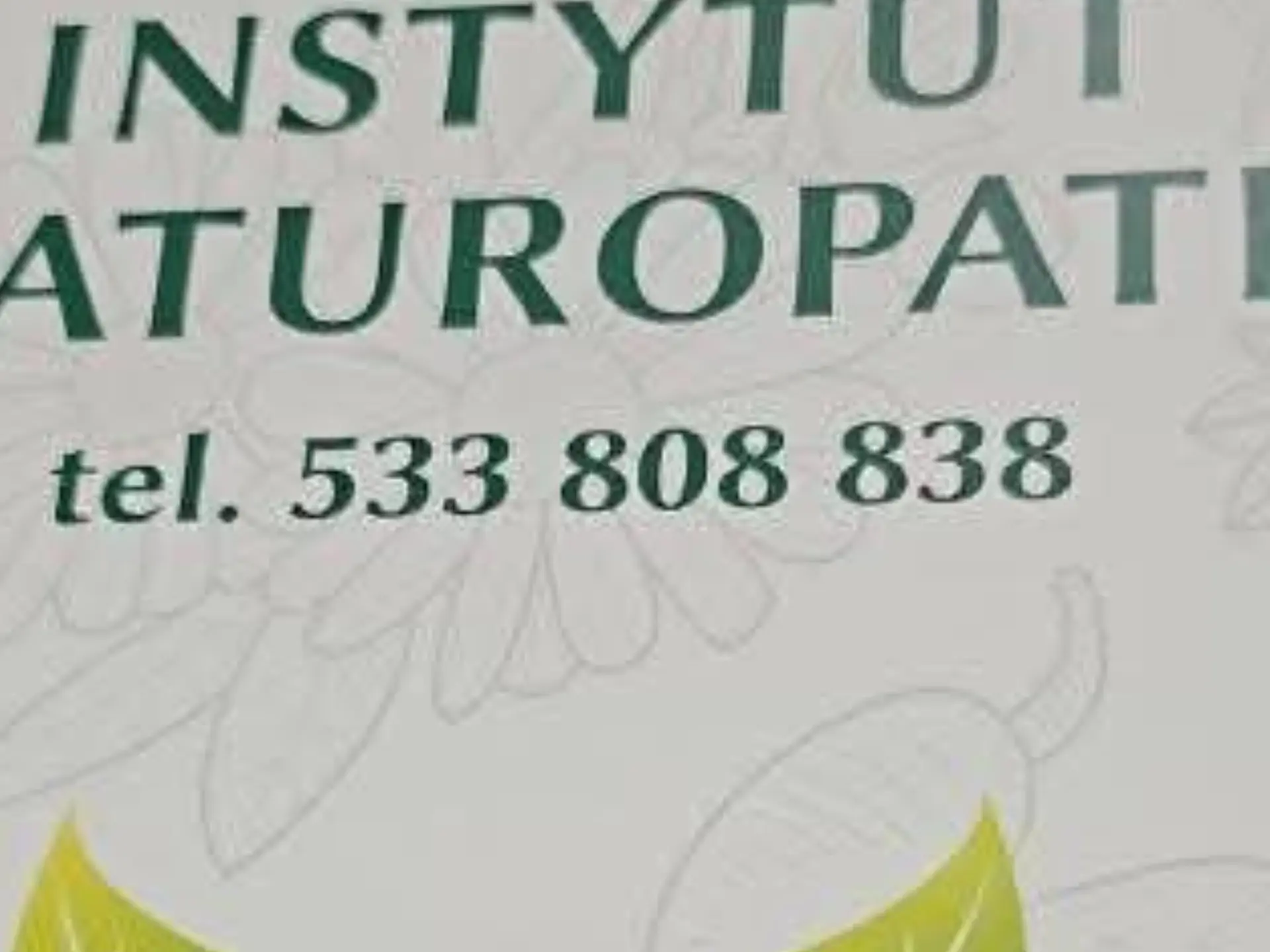 Szkolenia na Naturopate